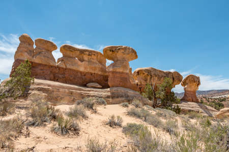 Devil's Garden Plateauの写真素材