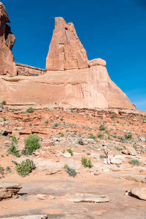 Upward Look at Park Avenue Wallの写真素材