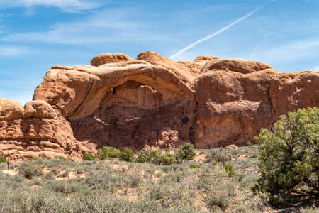 Parade of Elephants at Windows Sectionの写真素材
