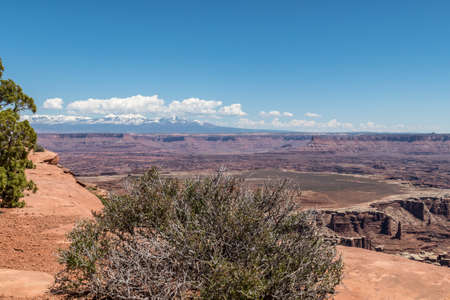 Grand View Point at Canyonlandsの写真素材