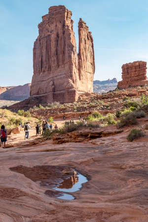 Water Reflection Park Avenue Trailの写真素材