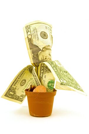 a plant's pot with money growing from it on white backgroundの写真素材