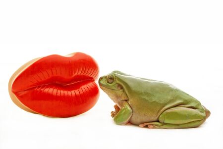 A green frog about to kiss some red lipsの写真素材