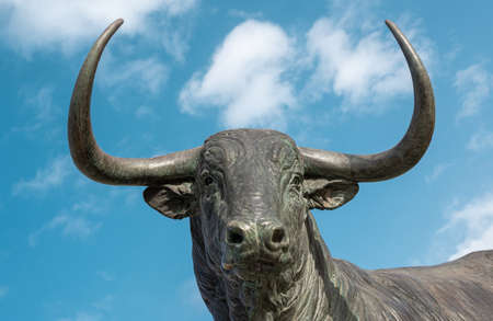 Detail sculpture head of a brave or fighting bull in the town of Trodesillas, province of Valladolid, Spainの写真素材