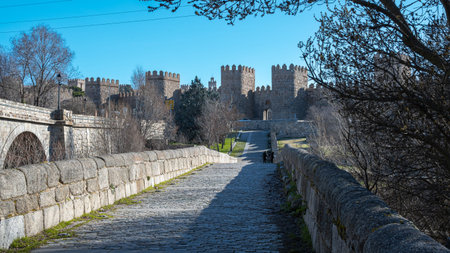 View of the historic medieval battlemented wall of Ãvila, a World Heritage site, in Castile and...