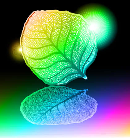 A glossy leaf with colors reflectionの写真素材