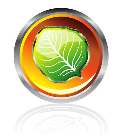 High detailed glossy leaf button Iconのイラスト素材