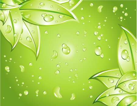 Leaves Background with water drops backgroundのイラスト素材