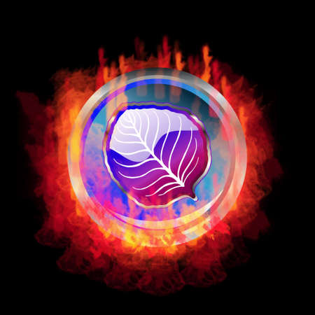 High detailed glossy Flaming Leaf Iconの写真素材
