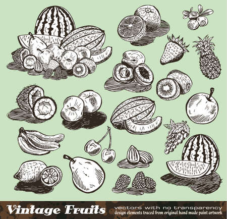 Vintage Fruits Collection - Set of Various Design Elements created from original hand drawのイラスト素材