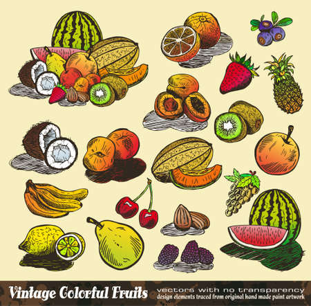 Vintage Colorful Fruits Collection - Various Design Elements created from original hand drawのイラスト素材
