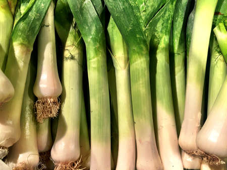 Close up of a big box of Sedano at the super market in vegetables section.の写真素材