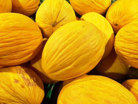 Close up of a big box of Melons at the super market in vegetables section.の写真素材