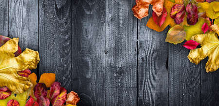 Autumn Leaves over a Natural Dark Wooden background. Old dirty wood tables or parquet with knots and holes and aged partculars.の写真素材