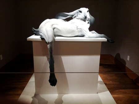 Madison, Wisconsin, United States; 12/13/2014: "L'Amante", a rabbit sculpture, by Beth Cavener, at the Chazen Museum of Art (Madison, WI)のeditorial素材