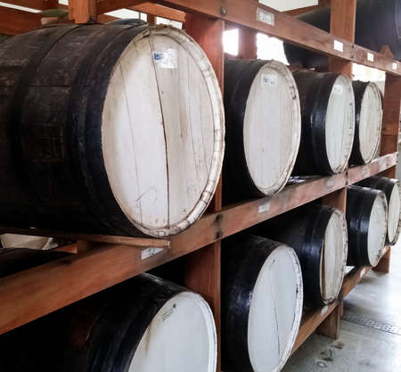 Large black wooden barrels for storage of alcoholic beverages grouped in a cellar shelf. Distilled...