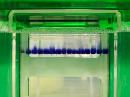 Close-up of a laboratory equipment to perform polyacrylamide gel electrophoresis. Technique of separation of proteins and nucleic acids.の写真素材