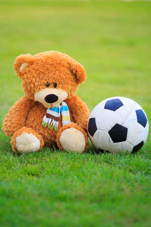 cute bear doll with football isolated on green grassの写真素材