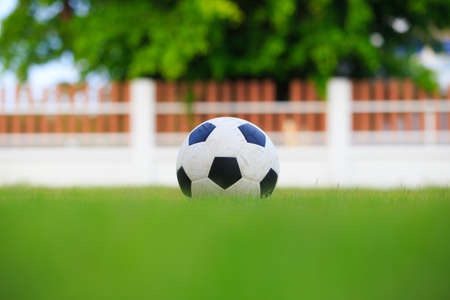 Football isolated on field of grassの写真素材
