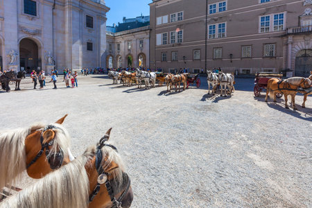 Fiaker, horses in front of Salzburg Cathedral, Domplatz, Old Town Salzburg, Austria, Sept 2013の写真素材