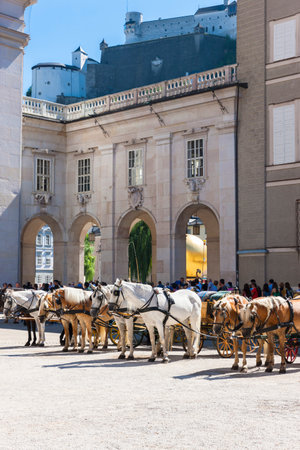 Fiaker, horses in front of Salzburg Cathedral, Domplatz, Old Town Salzburg, Austria, Sept 2013の写真素材