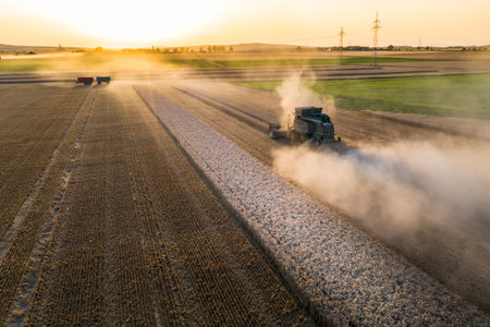 Aerial view, combine harvester, driving in the evening sun over a dry field with a lot of dust,...