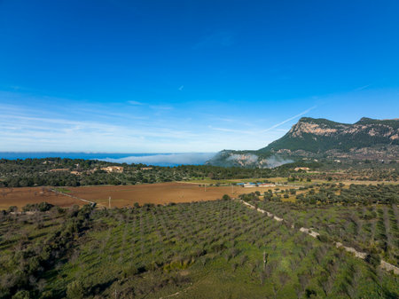 Aerial view, Spain, Balearic Islands, Mallorca, Valldemossa, agricultural propertyの写真素材