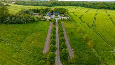 Aerial view, Denmark, Region Syddanmark, Christiansfeld, Agriculture and farms with grain and rapeseed fields,の写真素材