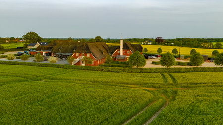 Aerial view, Denmark, Region Syddanmark, Christiansfeld, Agriculture and farms with grain and rapeseed fields,のeditorial素材