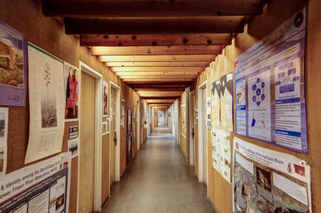 long hallway of offices at a universityのeditorial素材