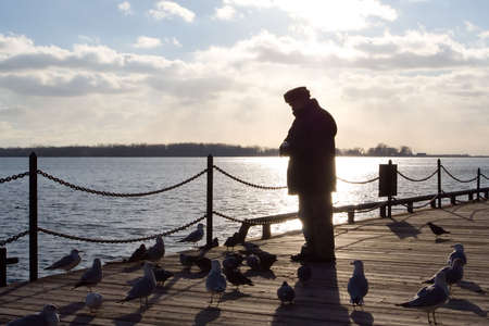 An old man, silhouetted by the sun shining off Lake Ontario, feeds sea birds down by the docks.の写真素材