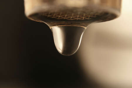 Water Dropの写真素材