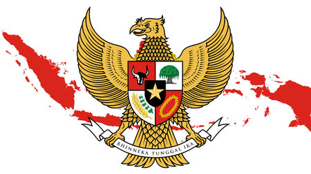 Vector illustration of Indonesia map and Garuda birdのイラスト素材