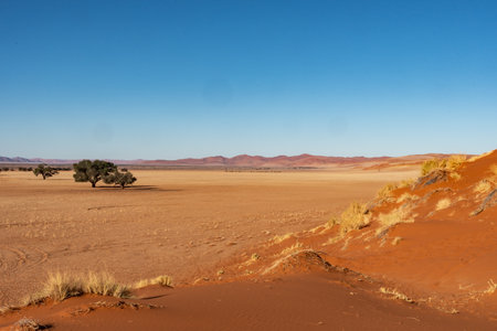 Landscape in the Namib-Naukluft National Park, Namibiaの写真素材