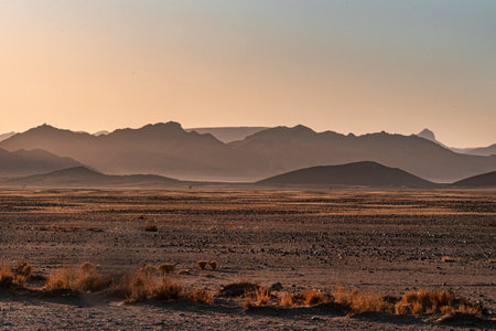 Landscape of the Namib desert at sunset, Namibia.の写真素材