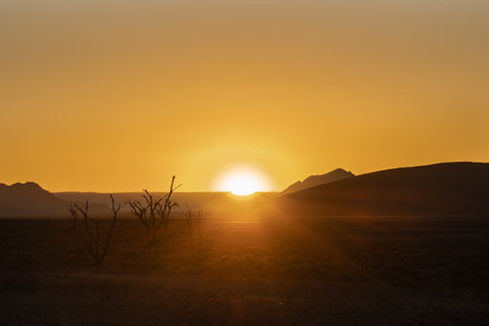 Sunset in the Namib Desert, Namibia, Africa.の写真素材