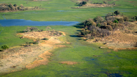 Aerial view of the river and grassland in Kenya, Africaの写真素材