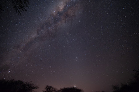 Milky way galaxy with stars and space dust in the universe.