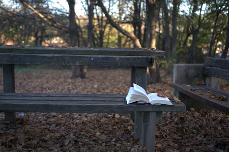 Open book on a bench in the park. Autumn background. Selective focus.の写真素材