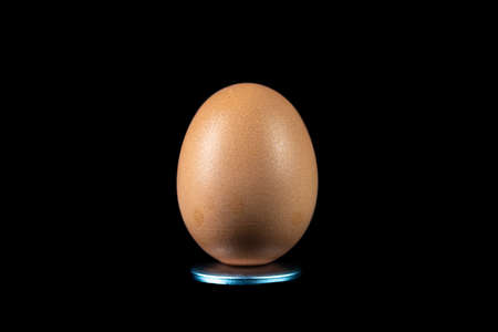 egg isolated on a dark background