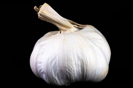 Garlic (Allium sativum) isolated on a dark background