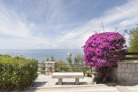 bench by the seashoreの写真素材