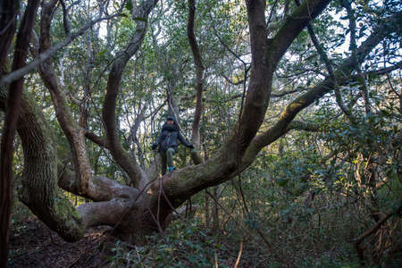Woman standing in large tree