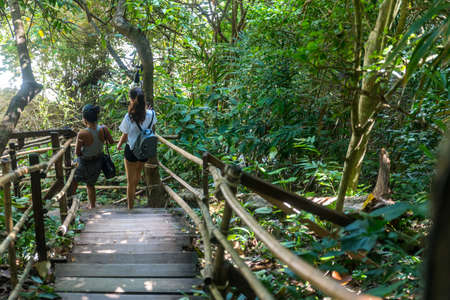 Woman walking on wooden pathwayの写真素材