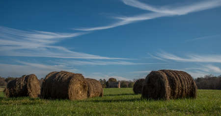 Field of rolled cut straw North Carolina with house in the backgroundの写真素材