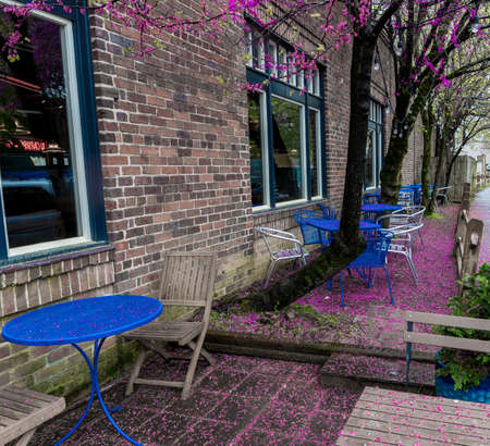 Blue table and chairs at a restaurant with beautiful flowering trees and moss covered trees