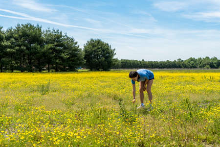 Teen girl bending over and picking flowers in large field with yellow flowers and trees in the...