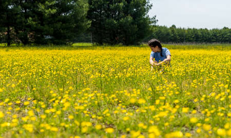 Teen girl sitting in large field with yellow flowers and trees in the background looking downの写真素材