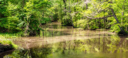 Swampy river off highway in Virginia with reflection in the waterの写真素材