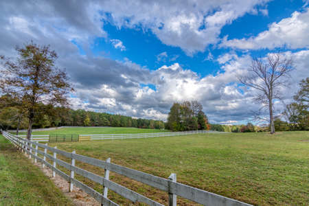 white fence in a field with bare trees in the fall in Orange County North Carolinaの写真素材